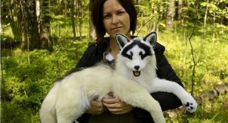 Are Canadian marble fox legal to own