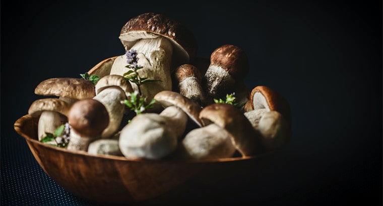How Long Do Mushrooms Last