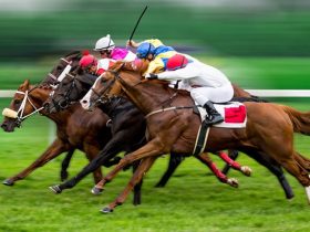 fastest horses in united states