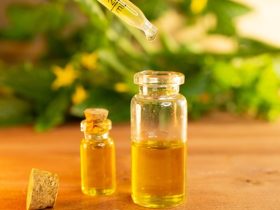 hemp oil vs cbd oils