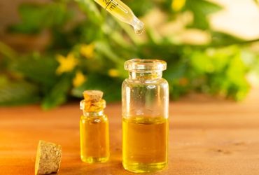 hemp oil vs cbd oils