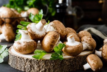 Mushroom Meat Replacements
