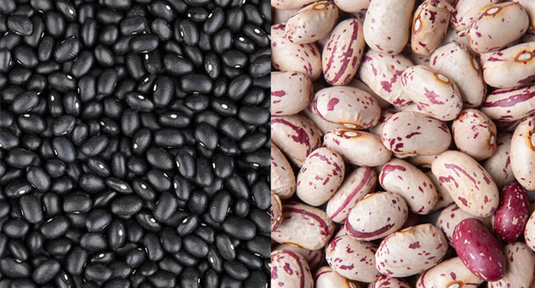 black beans vs pinto beans