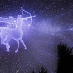 what is the spirit animal for sagittarius